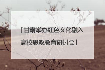 甘肃举办红色文化融入高校思政教育研讨会